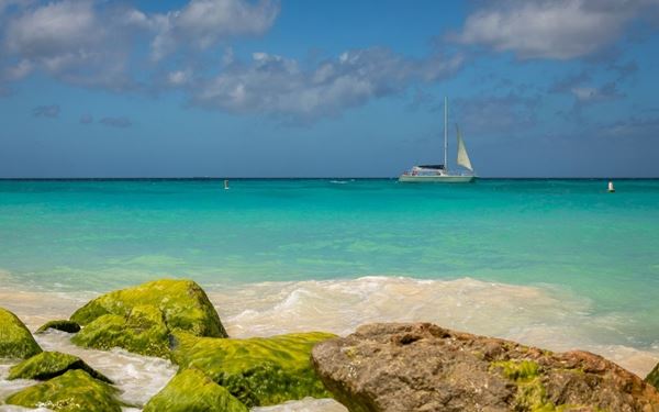 Eagle Beach is consistently ranked among the best beaches in the world, famous for its wide stretch of powdery white sand and clear turquoise waters. It is home to the iconic fofoti trees that lean toward the ocean. This peaceful beach is perfect for sunbathing, swimming, and watching breathtaking Caribbean sunsets in a relaxed, pristine environment.
