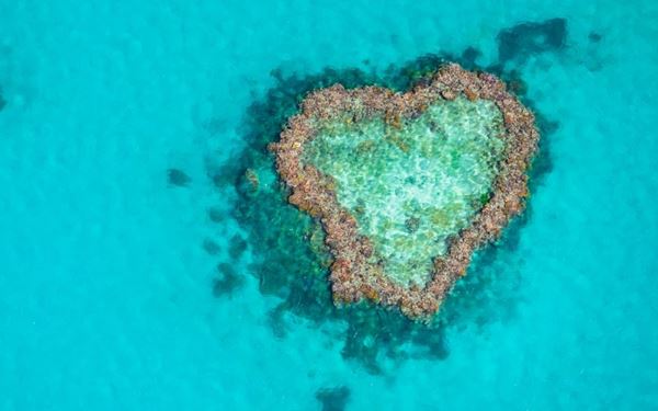 The Great Barrier Reef is the world's largest coral reef system, visible from outer space. This UNESCO World Heritage site is home to thousands of species of colorful fish, turtles, and coral. Visitors can experience this natural wonder through snorkeling, scuba diving, or scenic flights, making it a bucket-list destination for anyone visiting Australia.