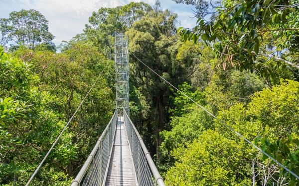 Uluru, also known as Ayers Rock, is a massive sandstone monolith in the heart of the Northern Territory. It is deeply sacred to the Anangu Aboriginal people. The rock changes colors dramatically at sunrise and sunset, glowing a brilliant red. Exploring the surrounding desert and learning about ancient Indigenous culture is a profound and spiritual experience.