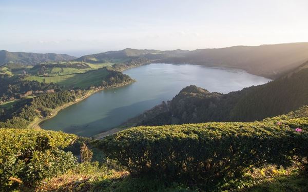 Furnas is a geothermal wonderland known for its bubbling mud pots, hot springs, and lush botanical gardens. Visitors can witness the unique tradition of cooking "Cozido," a traditional stew buried and cooked by volcanic heat. The combination of therapeutic thermal baths and stunning volcanic scenery makes it a must-visit for relaxation and nature.