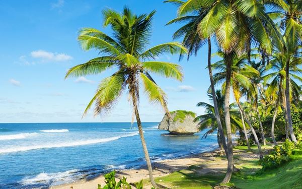 Bathsheba is famous for its dramatic coastal scenery, featuring massive rock formations that have broken away from ancient coral reefs. Located on the rugged Atlantic coast, it is a premier destination for world-class surfing at the "Soup Bowl." While the waves are too strong for swimming, the area’s raw beauty, tidal pools, and misty atmosphere make it a favorite for photographers and nature lovers.