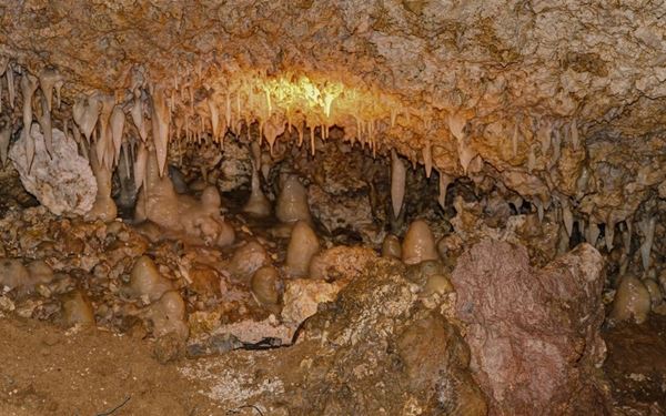 Harrison’s Cave is a magnificent limestone cavern featuring deep pools, towering stalactites, and stalagmites. Visitors can take an electric tram through the underground passages to witness the spectacular "Great Hall" and flowing streams. It is a unique geological wonder that showcases the island’s natural subterranean beauty, offering a cool and educational adventure in the heart of the Barbados countryside.