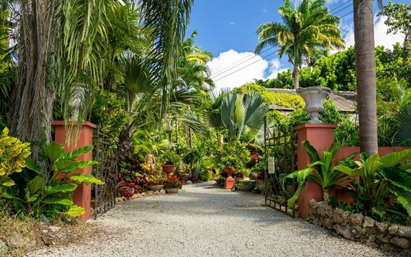 Hunte's Gardens is a lush and enchanting botanical sanctuary located in a deep sinkhole in the center of the island. Created by local horticulturist Anthony Hunte, the garden features an extraordinary variety of tropical plants, colorful flowers, and classical music playing in the background. It is a serene and artistic oasis that offers a peaceful escape, showcasing the incredible floral diversity and charm of Barbados.
