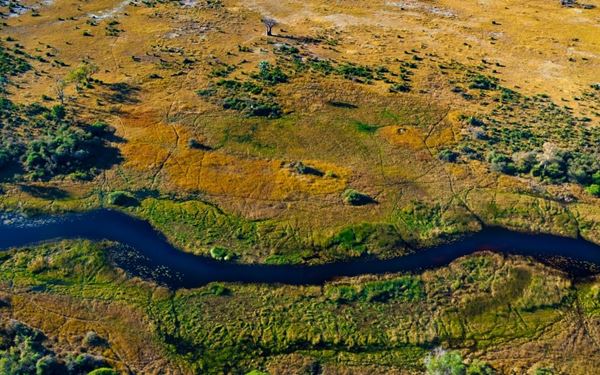 The Okavango Delta is a vast inland river delta and a UNESCO World Heritage site, famous for its sprawling grassy plains and lush lagoons. It is one of Africa’s premier wildlife destinations, where visitors can see lions, leopards, and elephants from a "mokoro" (traditional dugout canoe). Its unique ecosystem and incredible biodiversity make it a true paradise for nature enthusiasts.
