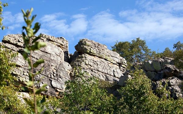 Known as the "Louvre of the Desert," Tsodilo Hills is a UNESCO World Heritage site featuring over 4,500 ancient rock paintings created by the San people. These hills are considered a sacred place where spirits of ancestors dwell. Hiking through the four main hills reveals stories of ancient life and spiritual beliefs, making it one of the most important archaeological and cultural sites in Africa.