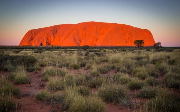Known as the "Green Jewel of Brunei," this park is a pristine rainforest accessible only by longboat. The highlight is the canopy walkway, which rises 60 meters above the forest floor, offering a bird's-eye view of the untouched tropical ecosystem. It is a sanctuary for biodiversity, where visitors can experience the sights and sounds of the jungle in its most natural and preserved state.