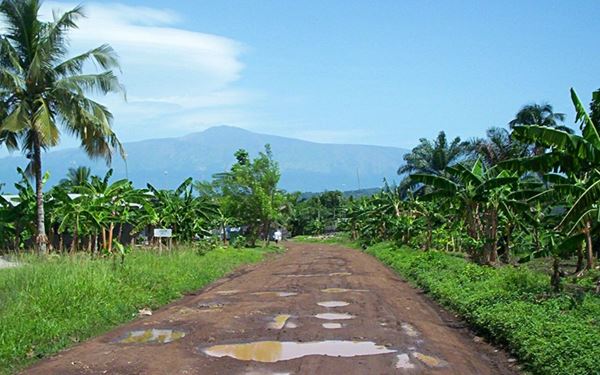 Mount Cameroon, also known as "Fako," is the highest peak in West and Central Africa and an active volcano. It rises dramatically from the coast to over 4,000 meters. The mountain offers a challenging trek through diverse ecosystems, from tropical forests to alpine meadows. It is a majestic natural landmark that attracts hikers and adventurers seeking to conquer one of Africa's most iconic and powerful summits.