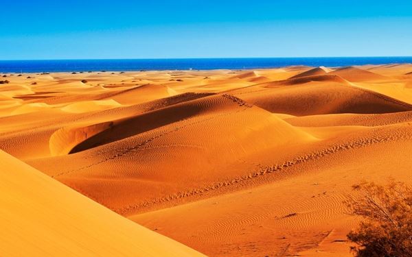 Located on Gran Canaria, the Maspalomas Dunes are a vast expanse of golden sand dunes by the sea. This natural reserve offers a desert-like atmosphere right next to the Atlantic Ocean. It is a famous spot for camel rides, sunset walks, and exploring the unique ecosystem of the charca (lagoon) and the iconic lighthouse nearby.