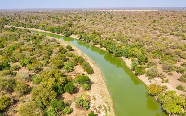 Zakouma is one of Africa's greatest conservation success stories, a sanctuary for massive herds of elephants, giraffes, and lions. Located in south-eastern Chad, it offers a raw and exclusive safari experience away from mass tourism. The park’s diverse ecosystems, ranging from open savannahs to seasonal wetlands, create a vibrant haven for birdlife and wildlife, representing the wild heart of Central Africa.