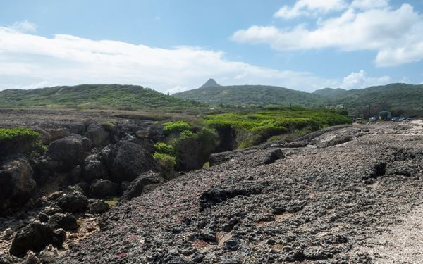 Shete Boka is a rugged coastal park where the ocean crashes into dramatic limestone inlets and underground caverns. Boka Tabla is the highlight, where visitors can watch massive waves thunder into a sea cave. The park offers a wild and powerful side of the island, featuring desert landscapes and nesting grounds for sea turtles, providing a stark contrast to the calm beaches of the western coast.