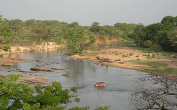Garamba is one of Africa's oldest national parks, characterized by vast savannahs, grasslands, and woodlands. It is home to significant populations of elephants, giraffes, and lions. The park's commitment to protecting the northern white rhino and its dramatic landscape of the Nile-Congo watershed make it a critical area for biodiversity and a wild, authentic destination for conservation-minded travelers.
