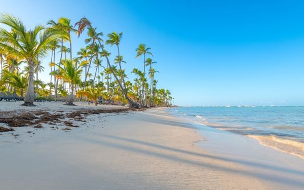 Punta Cana is world-renowned for its 32 kilometers of white sand beaches and clear turquoise waters. It is the heart of luxury all-inclusive resorts in the Caribbean. Visitors can enjoy world-class golf courses, windsurfing, and snorkeling. The vibrant nightlife and palm-fringed coastlines make it the ultimate tropical getaway for relaxation and fun.