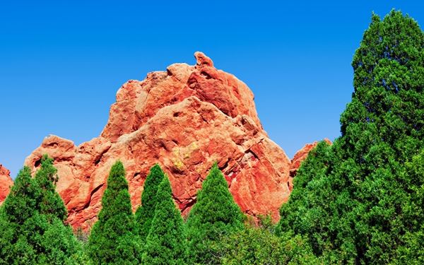 Nestled at the foot of the Sabeto Mountains, this beautiful botanical garden features a vast collection of over 2,000 types of orchids and tropical plants. Originally the private collection of actor Raymond Burr, it offers peaceful lily ponds and shaded jungle walks. It is a tranquil oasis that showcases the lush, floral beauty of Fiji's interior, providing a serene escape from the coast.