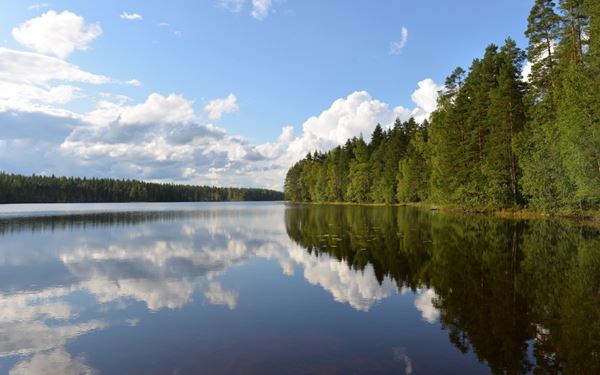 Lake Saimaa is the largest lake in Finland and home to the rare Saimaa ringed seal. Its vast network of thousands of islands and clear blue water makes it a paradise for kayaking, fishing, and steamboat cruises. Surrounded by dense pine forests and charming lakeside cottages, it offers a quintessential Finnish nature experience focused on tranquility, wildlife, and the sauna culture.