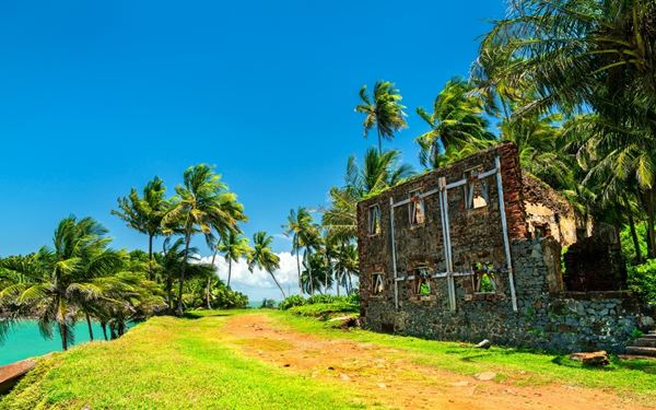 The Salvation Islands (Îles du Salut) are a group of small volcanic islands known for their dark history as a penal colony, including the famous Devil's Island. Today, the islands are a peaceful retreat with lush vegetation, palm-fringed shores, and historic ruins. They offer a unique mix of historical intrigue and natural beauty amidst the Atlantic waters.