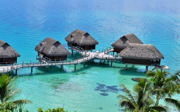 Bora Bora is the jewel of the South Pacific, world-famous for its turquoise lagoon and luxury overwater bungalows. Dominated by the peaks of Mount Otemanu, it is a paradise for snorkeling, diving, and romantic getaways. The crystal-clear waters and vibrant coral gardens make it one of the most beautiful and photographed tropical islands on Earth.