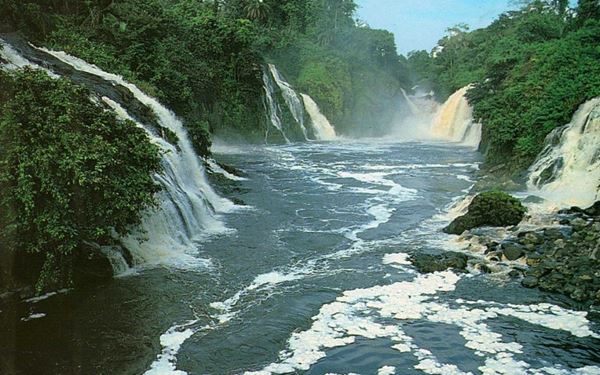 Ivindo is home to some of the most spectacular waterfalls in Africa, the Kongou Falls, and the famous Langoué Baï, a large forest clearing where forest elephants and gorillas gather. The park's ancient rainforest is one of the most important wilderness areas in Central Africa. It offers an adventurous and raw experience for those looking to see untouched biodiversity and dramatic river landscapes.