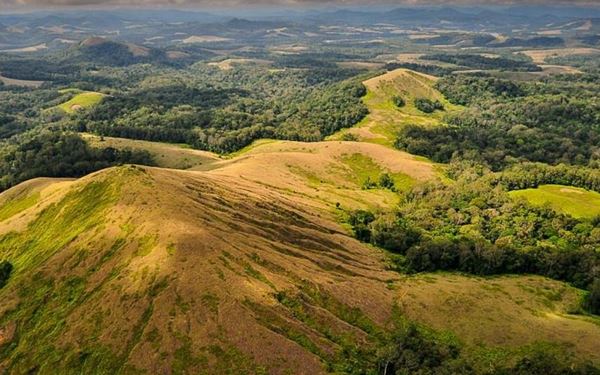 Lopé is a UNESCO World Heritage site where the savannah meets the dense rainforest, creating a unique ecosystem that has been inhabited for 400,000 years. It is famous for its large mandrill troops and ancient rock engravings. Taking a train to the park and exploring its grassy hills and forest patches offers a fascinating look at the long-term relationship between humans and the environment.