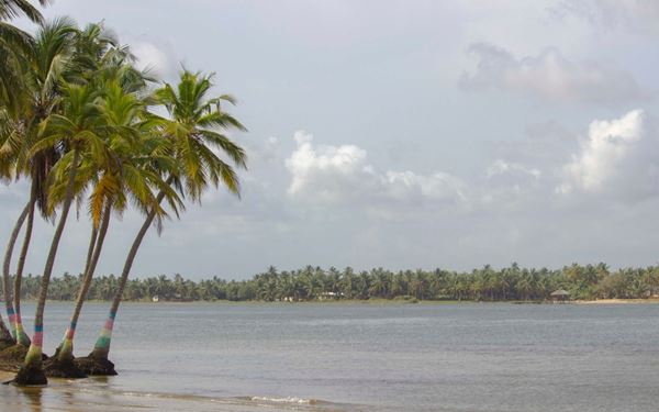 Lake Volta is one of the largest man-made reservoirs in the world, formed by the Akosombo Dam. The lake offers scenic boat trips, fishing, and visits to lakeside communities. Surrounded by rolling hills and lush vegetation, it provides a peaceful environment for relaxation and water-based activities, playing a vital role in Ghana’s economy and offering a beautiful, vast water landscape.