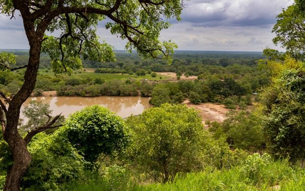 Mole is Ghana's largest wildlife refuge, known for its populations of African elephants, leopards, and rare birds. Unlike many other parks, Mole offers walking safaris, allowing for a more intimate encounter with the animals. The park's savannah landscape and the nearby Larabanga Mosque, built in the Sudanese style, make it a cultural and natural highlight of northern Ghana.