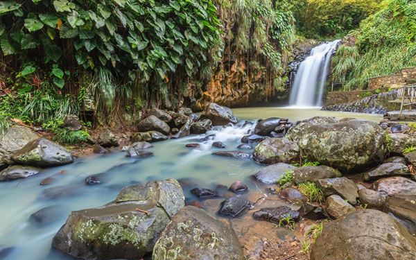 Annandale Falls is a beautiful 10-meter waterfall surrounded by a lush garden of tropical plants and ferns. Visitors can enjoy a refreshing swim in the natural pool at the base or walk through the spice gardens to learn about Grenada's "Spice Isle" heritage. Its easy accessibility and serene jungle setting make it a popular and relaxing destination for nature lovers visiting the island.