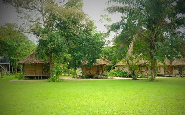 Rewa is an indigenous community located at the confluence of the Rewa and Rupununi rivers, known for its pioneer eco-tourism efforts. It is a haven for seeing giant river otters, jaguars, and the massive arapaima fish. Visitors can experience the traditional lifestyle of the Makushi people while exploring one of the most biodiverse regions of the Amazon, offering a truly wild and sustainable adventure.