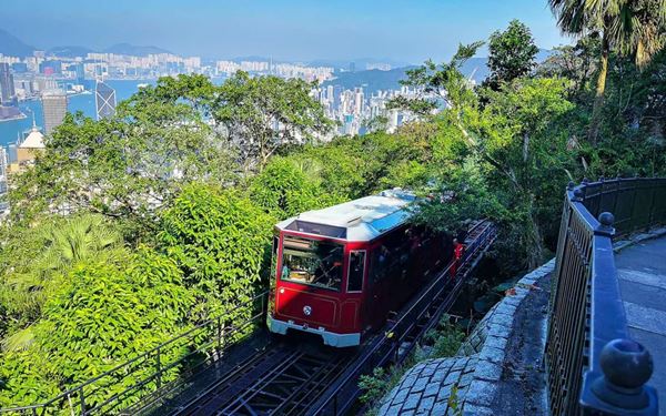 Victoria Peak is the highest point on Hong Kong Island and offers the most spectacular views of the city's iconic skyline and Victoria Harbour. Visitors can ride the historic Peak Tram to reach the summit. Whether during the day or when the city lights up at night, it is an essential experience for any traveler visiting this vibrant global hub.