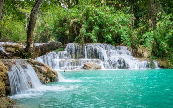 Located near Luang Prabang, Kuang Si Falls is a stunning multi-tiered waterfall with vibrant turquoise pools. Visitors can swim in the refreshing water or visit the nearby bear rescue center. The lush jungle surroundings and the milky blue cascades create a fairytale-like atmosphere, making it one of the most beautiful natural sights in Southeast Asia.