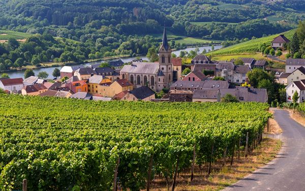 The Moselle Valley is Luxembourg's premier wine region, known for its terraced vineyards that produce world-class Rieslings and Crémants. Visitors can take boat cruises along the Moselle River or visit charming wine-growing villages like Grevenmacher and Remich. The valley’s gentle hills and sun-drenched vineyards provide a scenic and relaxing environment for wine tasting and leisure.