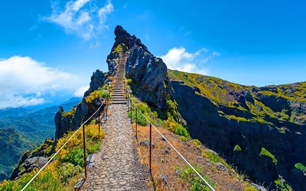 Pico do Arieiro is Madeira's third-highest peak, accessible by road and offering some of the most spectacular mountain views in the Atlantic. On clear days, visitors can look down upon a blanket of clouds and see the neighboring island of Porto Santo. It is a popular starting point for challenging hikes through rugged volcanic ridges, providing an unforgettable experience above the clouds.