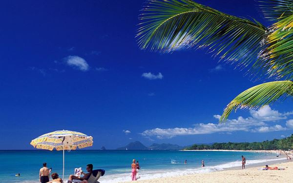 Les Salines is often considered the most beautiful beach in Martinique, featuring a long crescent of golden sand and swaying coconut palms. The calm, shallow waters are perfect for families and swimmers. Located at the southern tip of the island, it offers a quintessential Caribbean postcard setting and a relaxed atmosphere that makes it a favorite spot for both locals and travelers.