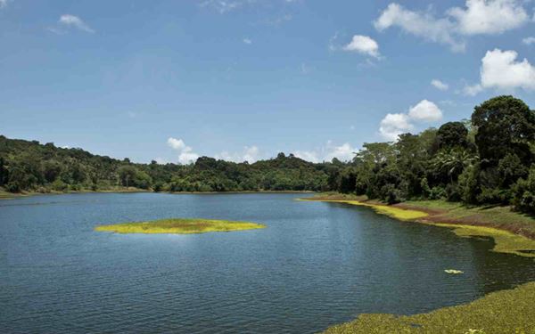 Lake Karihani is the only natural freshwater lake in Mayotte, located in a tranquil volcanic crater. It is a sanctuary for birdlife, particularly white herons and moorhens, and is covered with beautiful water lilies. Surrounded by lush vegetation, it offers a peaceful and off-the-beaten-path experience for nature lovers looking to explore the quiet, green interior of this French overseas department.