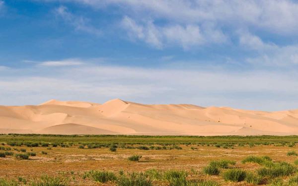 The Gobi Desert is a vast landscape of gravel plains and towering sand dunes, with Khongoryn Els, or the "Singing Sands," being its most famous feature. These massive dunes can reach 300 meters in height and produce a melodic sound when the wind moves the sand. Exploring the Gobi offers a chance to visit nomadic families, ride camels, and witness the stark, majestic beauty of one of Earth's most extreme environments.