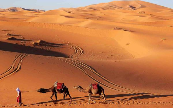 Merzouga is the gateway to the Erg Chebbi dunes, some of the most spectacular sand formations in the Sahara. Visitors can experience camel treks, stay in luxury desert camps, and witness breathtaking sunrises and starry nights. The vast, golden landscape offers a profound sense of solitude and beauty, making it an essential experience for any adventurer in Morocco.