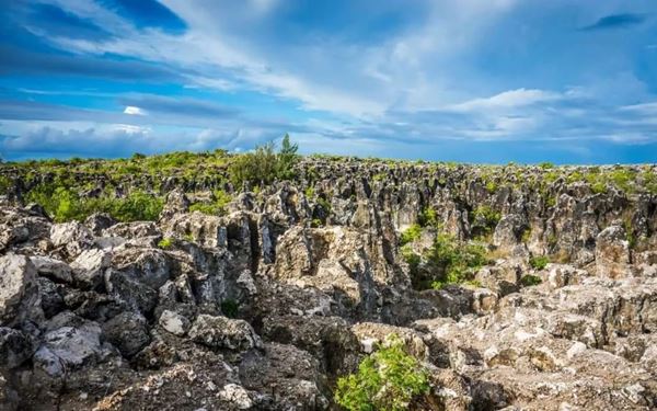 Command Ridge is the highest point in Nauru and served as a strategic lookout during World War II. Visitors can explore Japanese bunkers, rusty artillery guns, and communication ruins. The ridge offers a 360-degree view of the entire island and the vast Pacific Ocean, blending historical significance with the island's unique phosphate-mined landscape.
