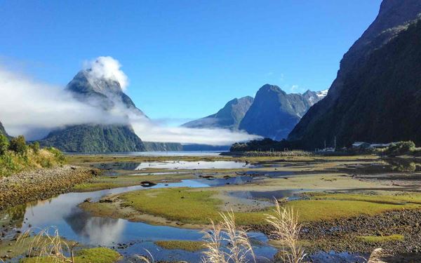 Milford Sound is a breathtaking fjord in Fiordland National Park, famous for its towering peaks, cascading waterfalls, and dark blue waters. Described as the "eighth wonder of the world," it is best explored by boat or kayak. Visitors can see dolphins, seals, and penguins amidst the dramatic scenery, making it one of the most stunning natural landscapes on the planet.