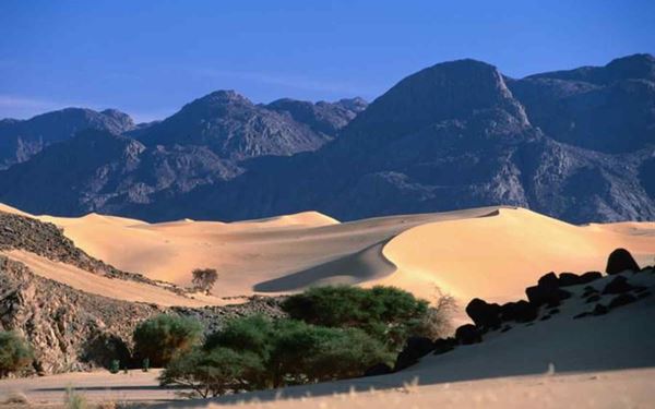 The Aïr Mountains are a spectacular volcanic massif located in the heart of the Sahara Desert. This UNESCO site is known for its dramatic granite peaks and lush oases that provide a home to Tuareg nomads. The region is rich in ancient rock art and unique wildlife, offering a rugged and mystical landscape that represents the raw, majestic beauty of the African desert wilderness.