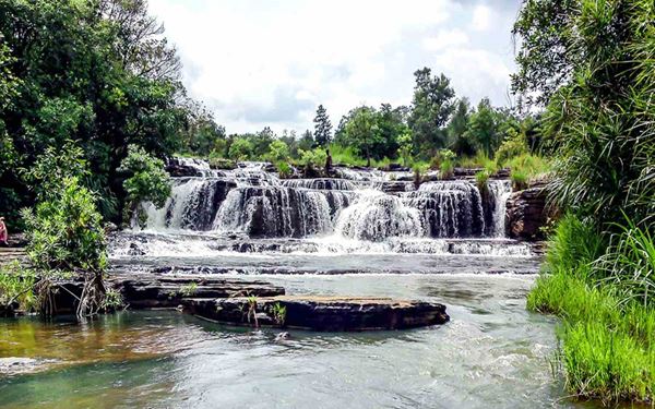 W National Park, named for the W-shaped bend in the Niger River, is a major transborder reserve and a sanctuary for the last remaining West African giraffes and elephants. The park features a diverse ecosystem of savannahs and wetlands. It is a critical area for biodiversity in the Sahel region, offering an adventurous safari experience for those looking to see Africa's wild side in a remote setting.
