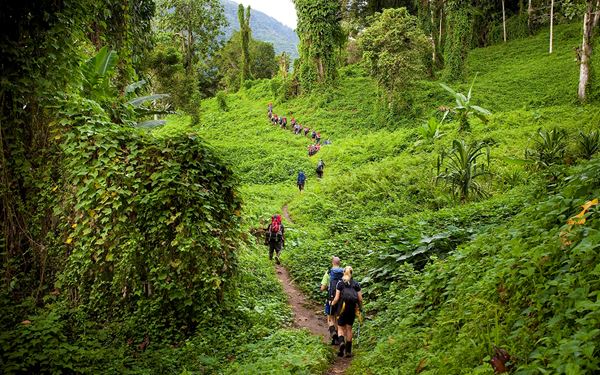 The Kokoda Track is a world-famous 96-kilometer trail through the rugged Owen Stanley Range. It is a site of immense historical significance from WWII and a challenging pilgrimage for hikers. The trek leads through dense rainforests and remote villages, offering a profound sense of accomplishment and a deep connection to the history and natural beauty of the island.