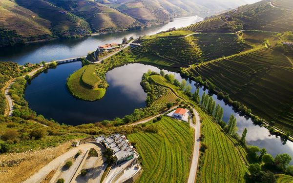 The Douro Valley is one of the world's oldest demarcated wine regions and a UNESCO World Heritage site. Known for its terraced vineyards that slope down to the Douro River, it is the birthplace of Port wine. Visitors can enjoy scenic boat tours, visit historic wine estates (quintas), and admire the stunning landscape, which is particularly beautiful during the autumn harvest season.