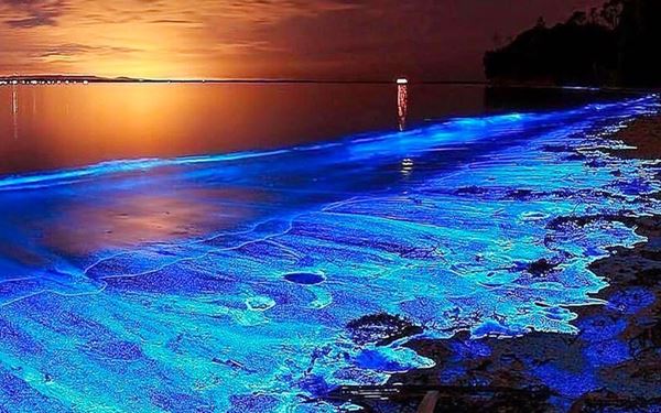 Located on the island of Vieques, Mosquito Bay is recognized as the brightest bioluminescent bay in the world. At night, the water glows a magical neon blue when disturbed, caused by millions of tiny microorganisms. Kayaking through the glowing water under a dark sky is a surreal and unforgettable experience, highlighting the incredible natural wonders of Puerto Rico.