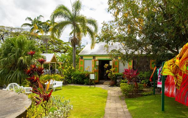 Romney Manor is a historic 17th-century estate surrounded by six acres of lush botanical gardens. It is home to Caribelle Batik, where visitors can watch artisans create intricate fabric designs. The estate’s centerpiece is a magnificent 350-year-old Saman tree, making it a peaceful and colorful destination that blends history, nature, and local craftsmanship.