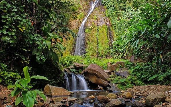 Dark View Falls features two spectacular waterfalls cascading down high lava cliffs into natural pools. A scenic hike across a traditional bamboo bridge leads visitors to the base of the falls. Surrounded by lush rainforest and ferns, it is a tranquil and refreshing spot for swimming and photography, showcasing the untouched tropical beauty of the island’s interior.