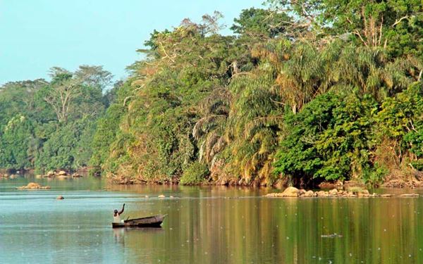Tiwai Island is a tropical rainforest sanctuary located in the Moa River, known for having one of the highest concentrations of primates in the world. It is home to the rare pygmy hippo and various species of monkeys and chimpanzees. Exploring the island’s lush trails and navigating the river by canoe offers an authentic eco-adventure, highlighting Sierra Leone's incredible biodiversity and forest conservation.