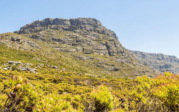 Table Mountain is a flat-topped landmark overlooking Cape Town and one of the New Seven Wonders of Nature. Visitors can take a cableway to the summit or hike up for unparalleled views of the city, the Atlantic Ocean, and Robben Island. It is home to a vast array of unique flora and fauna, standing as a majestic and enduring symbol of the natural beauty of South Africa.
