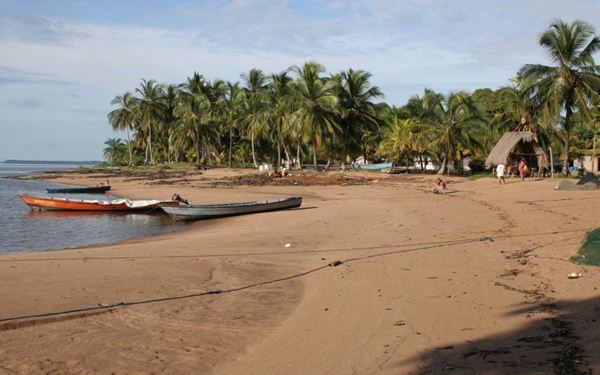 Galibi is located at the mouth of the Marowijne River and is famous as a critical nesting ground for giant leatherback and green sea turtles. Visitors can take guided night tours to witness the magical sight of these ancient creatures laying eggs on the beach. The area is also home to indigenous Kalina villages, offering a unique blend of wildlife conservation and authentic cultural immersion in a remote coastal setting.