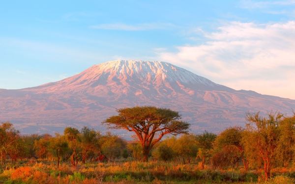 Mount Kilimanjaro is the highest peak in Africa and the world's tallest free-standing mountain. Its snow-capped summit rises dramatically from the savannah plains. Climbing "Kili" is a bucket-list adventure that takes trekkers through five distinct climate zones, from tropical rainforest to arctic desert. It is a majestic symbol of Tanzania and a powerful challenge for those seeking to stand on the roof of the continent.