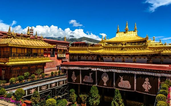 Located in the heart of old Lhasa, Jokhang Temple is considered the most sacred and important temple in Tibet. It attracts thousands of pilgrims who prostrate themselves at its entrance. The temple houses the Jowo Shakyamuni, a precious statue of the young Buddha. Surrounded by the vibrant Barkhor Street market, it is the spiritual soul of Tibet, where ancient traditions and daily religious life converge.