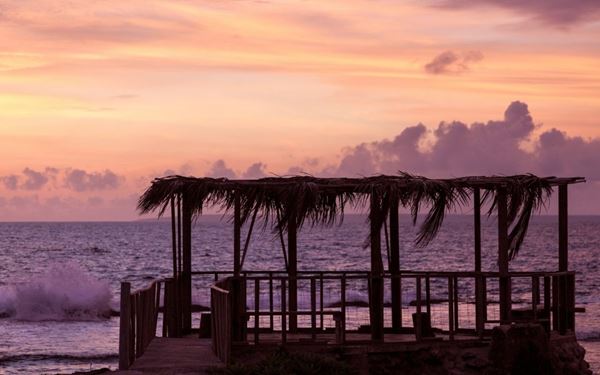 Eua is Tonga’s oldest island, featuring dramatic cliffs, ancient rainforests, and deep caves. The 'Eua National Park is a haven for hiking and birdwatching, where visitors can see the rare red-shining parrot. Its rugged landscape and wild coastal views offer a stark contrast to the flat coral islands of the rest of the kingdom, providing an off-the-beaten-path adventure for those seeking raw natural beauty.