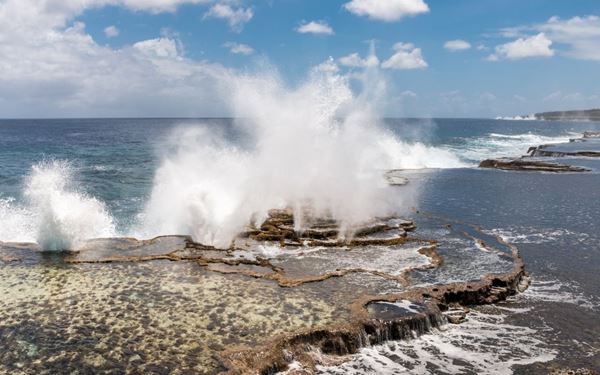 Stretching for five kilometers along the rugged coastline of Houma, the Mapu 'a Vaea blowholes are a spectacular natural phenomenon. As waves crash into the coral reef, water is forced through volcanic tunnels, shooting spectacular plumes of spray up to 30 meters into the air. Known as the "Chief's Whistles," the sight and sound of hundreds of blowholes erupting at once is a majestic display of the ocean's power.